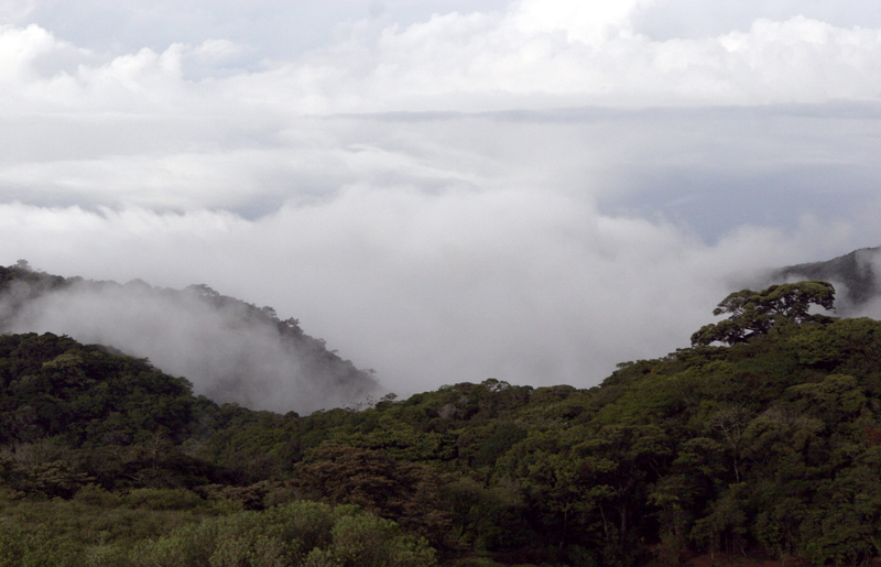 Costa Rica’s incredible Monteverde Cloud Forest Reserve.